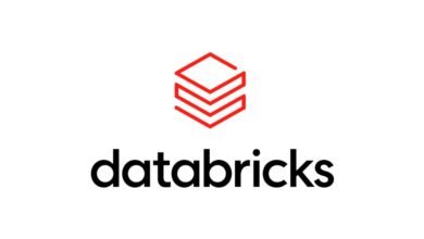 What Is Databricks AI BI